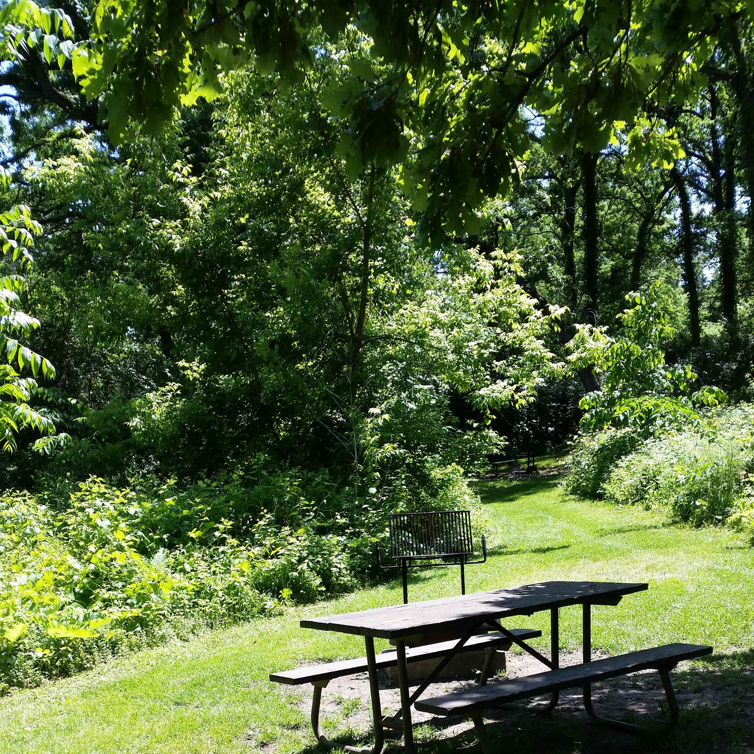 Rock Cut State Park Camping The Dyrt