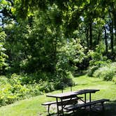Review photo of Rock Cut State Park - Staghorn Campground by Tricia E., July 4, 2016