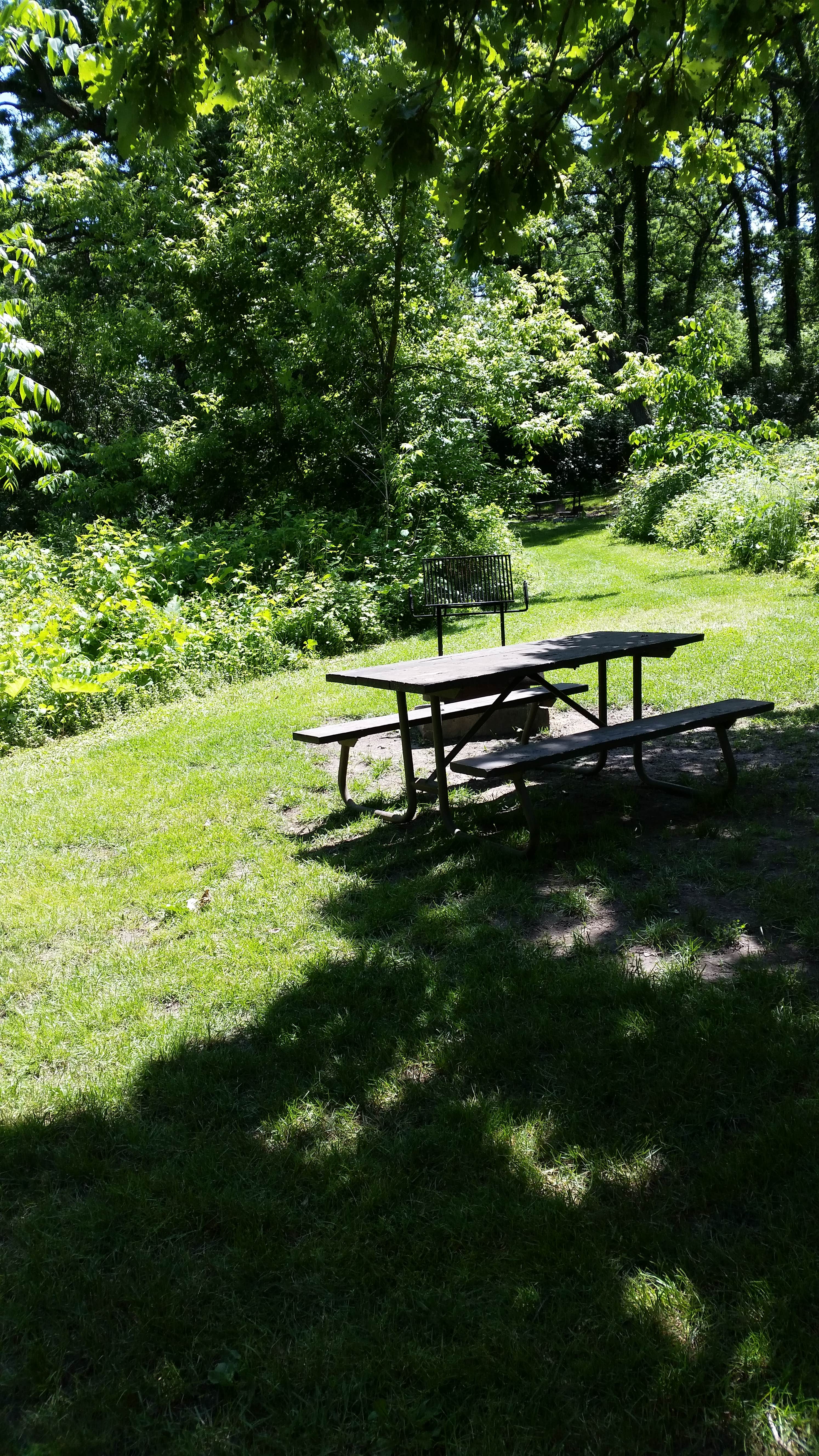 Camper submitted image from Rock Cut State Park - Staghorn Campground - 4