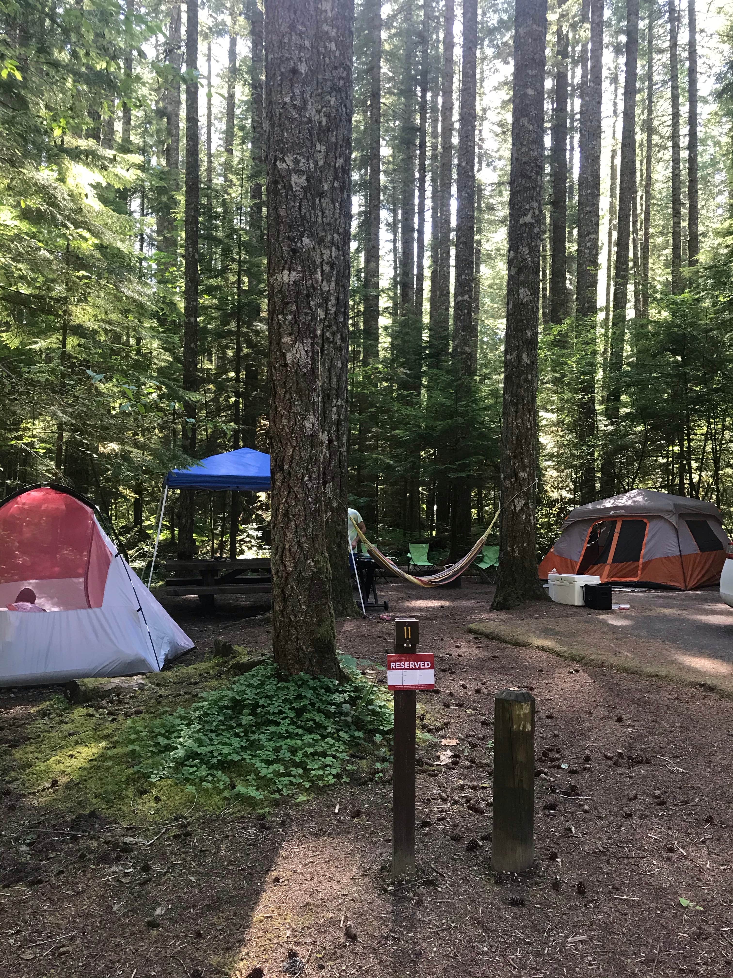 Ashlie M.'s photo at Lower Falls Campground near Gifford Pinchot National Forest