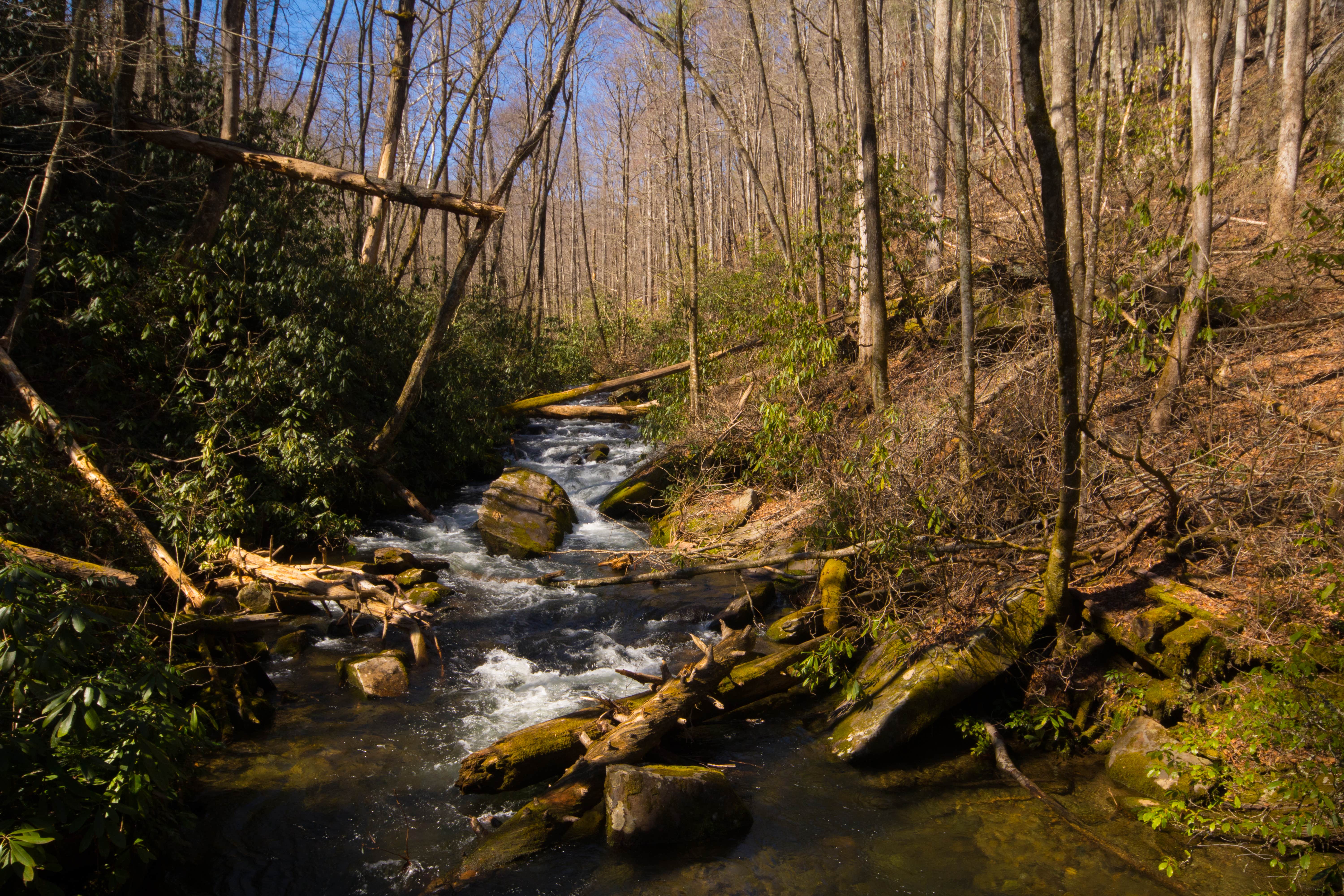 Camper-submitted photo at Lake Santeetlah Dispersed near Tallassee, TN