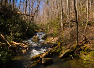 Lake Santeetlah Dispersed