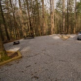 Review photo of Vogel State Park Campground by Shari  G., March 12, 2018