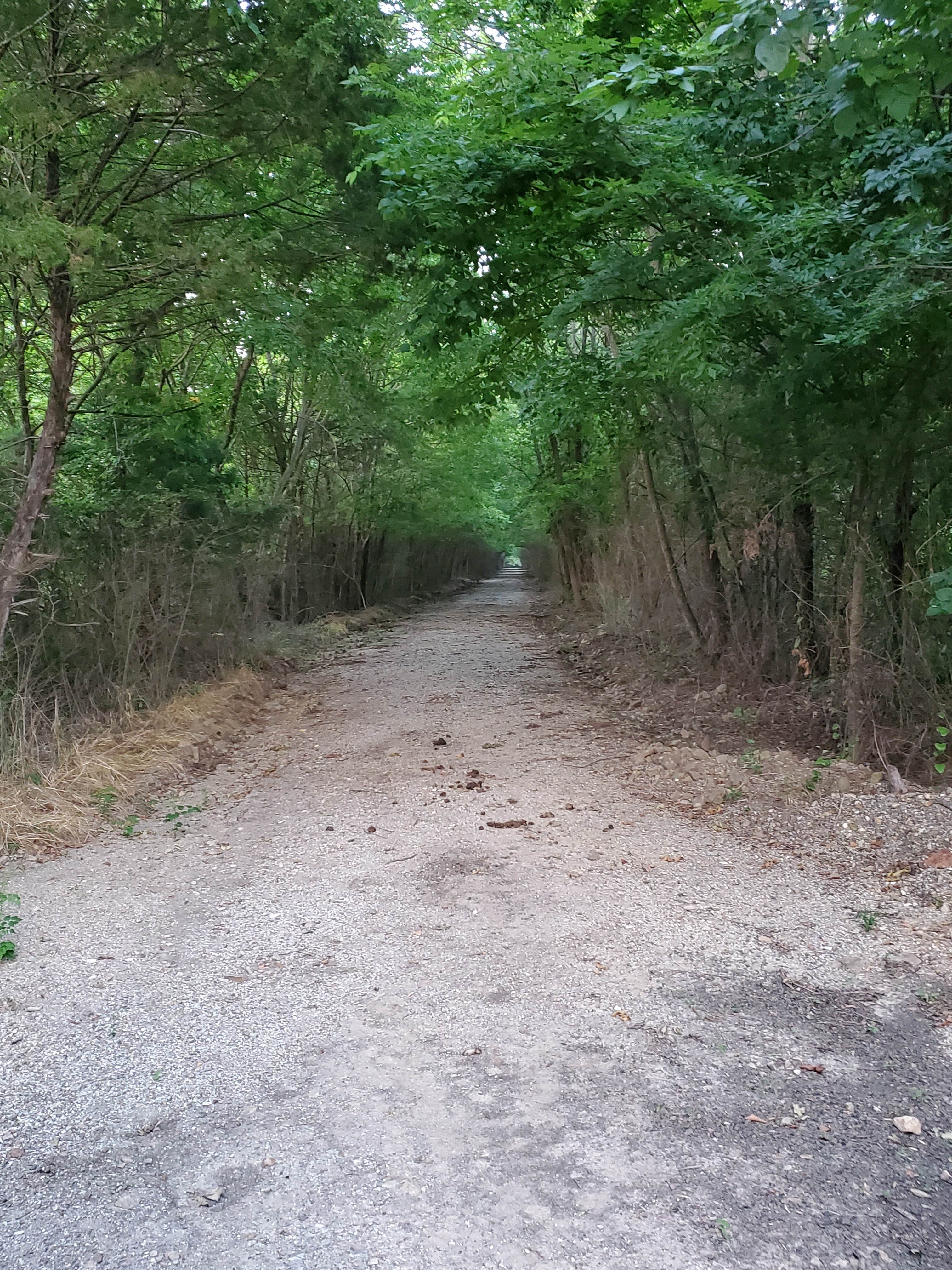Camper-submitted photo at Wards Campground — Lake Wister State Park near Big Cedar, OK