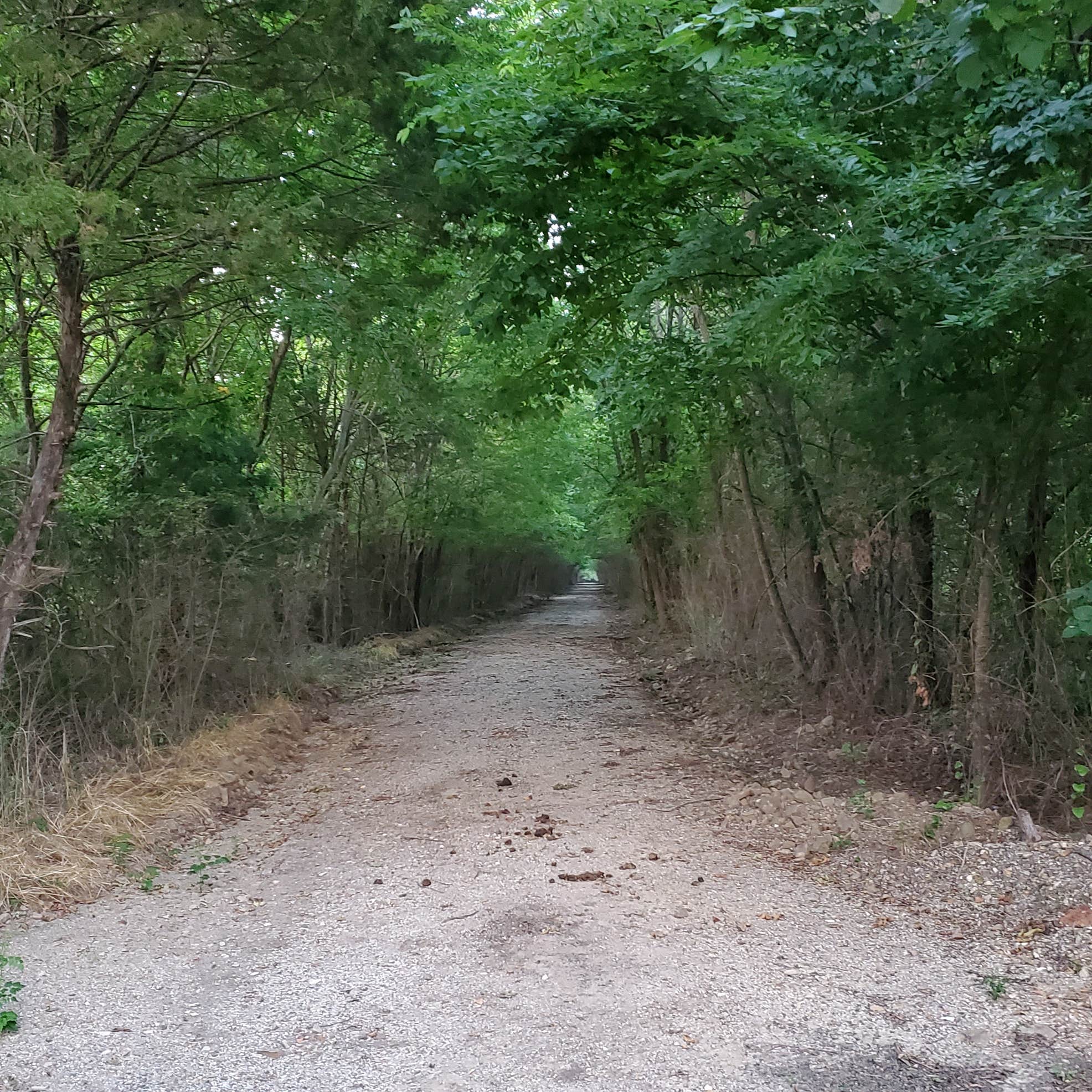 Wards Campground — Lake Wister State Park Wister, OK