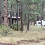 Review photo of Horse Springs Campground by Whitney W., July 20, 2020