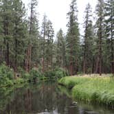 Review photo of Horse Springs Campground by Whitney W., July 20, 2020