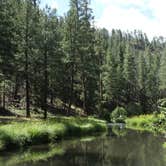 Review photo of Horse Springs Campground by Whitney W., July 20, 2020