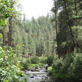 Review photo of Horse Springs Campground by Whitney W., July 20, 2020