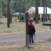 Review photo of Horse Springs Campground by Whitney W., July 20, 2020