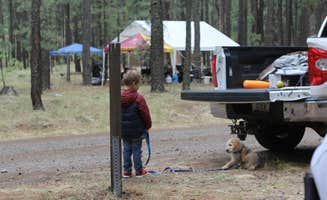 Whitney W.'s photo of camping with pets at Horse Springs Campground near Alpine, AZ