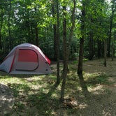 Review photo of St. Joe State Park Campground by Olivia S., July 20, 2020