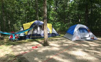 Olivia S.'s photo at St. Joe State Park Campground near Bismarck, MO