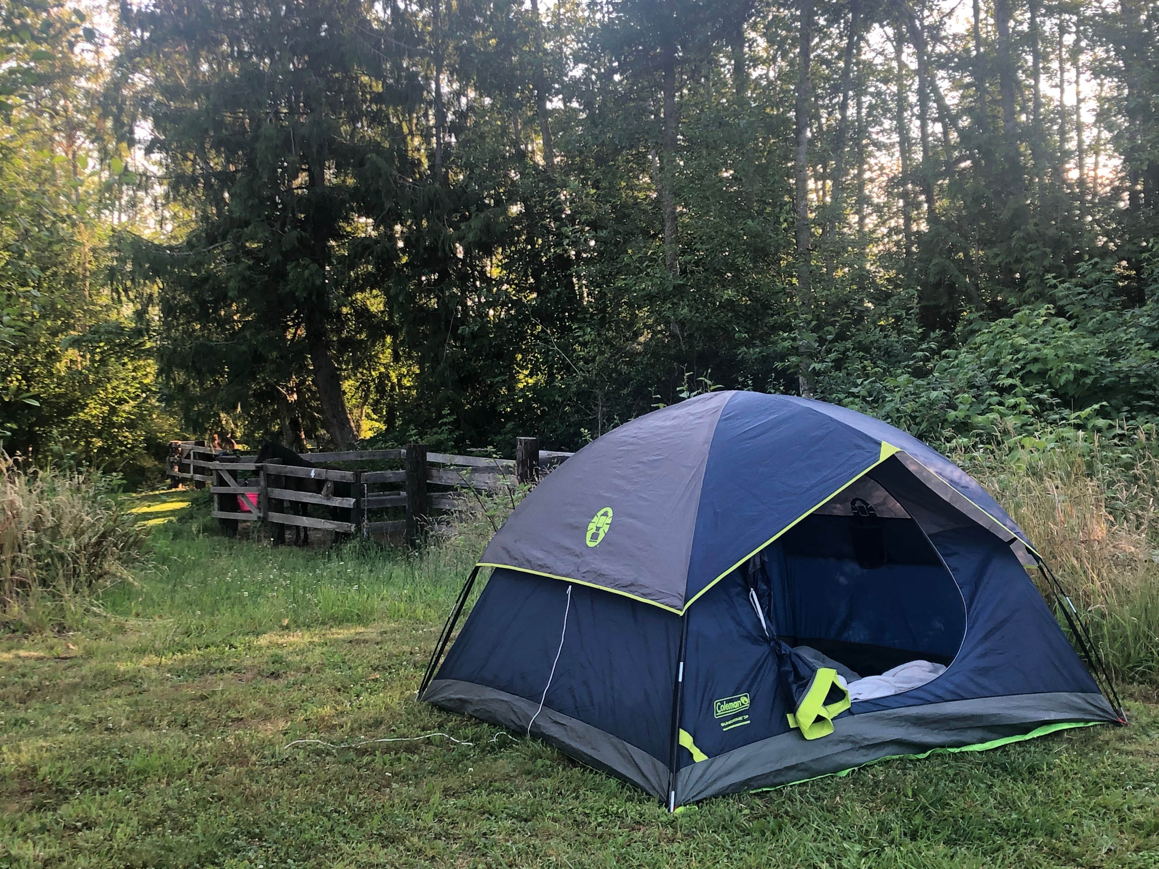 Camper-submitted photo at Sage Horse Camp near Everett, WA