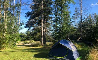 Lillie P.'s photo at Sage Horse Camp near Quilcene, WA