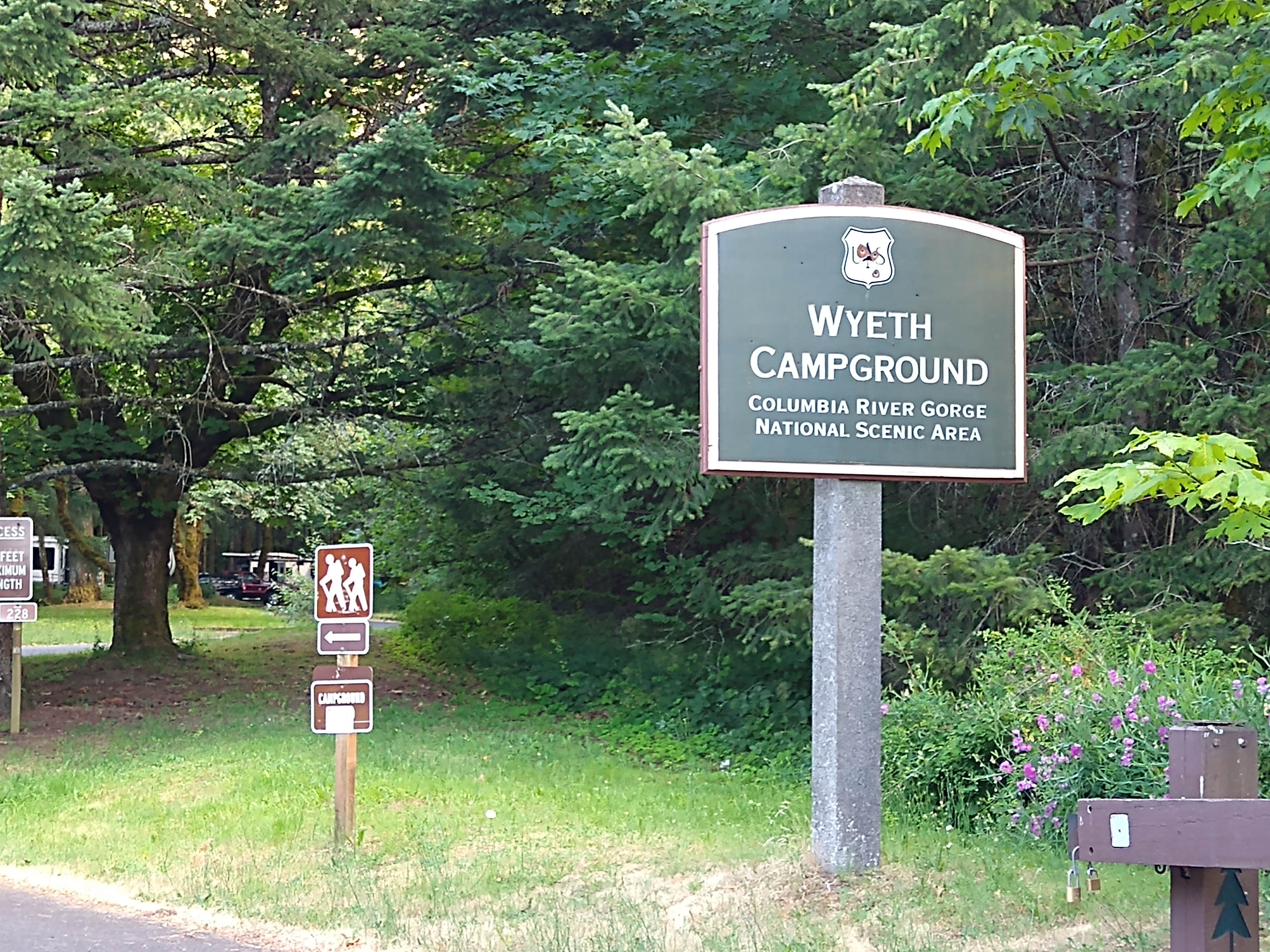 Camper submitted image from Wyeth Campground at the Gorge - 4