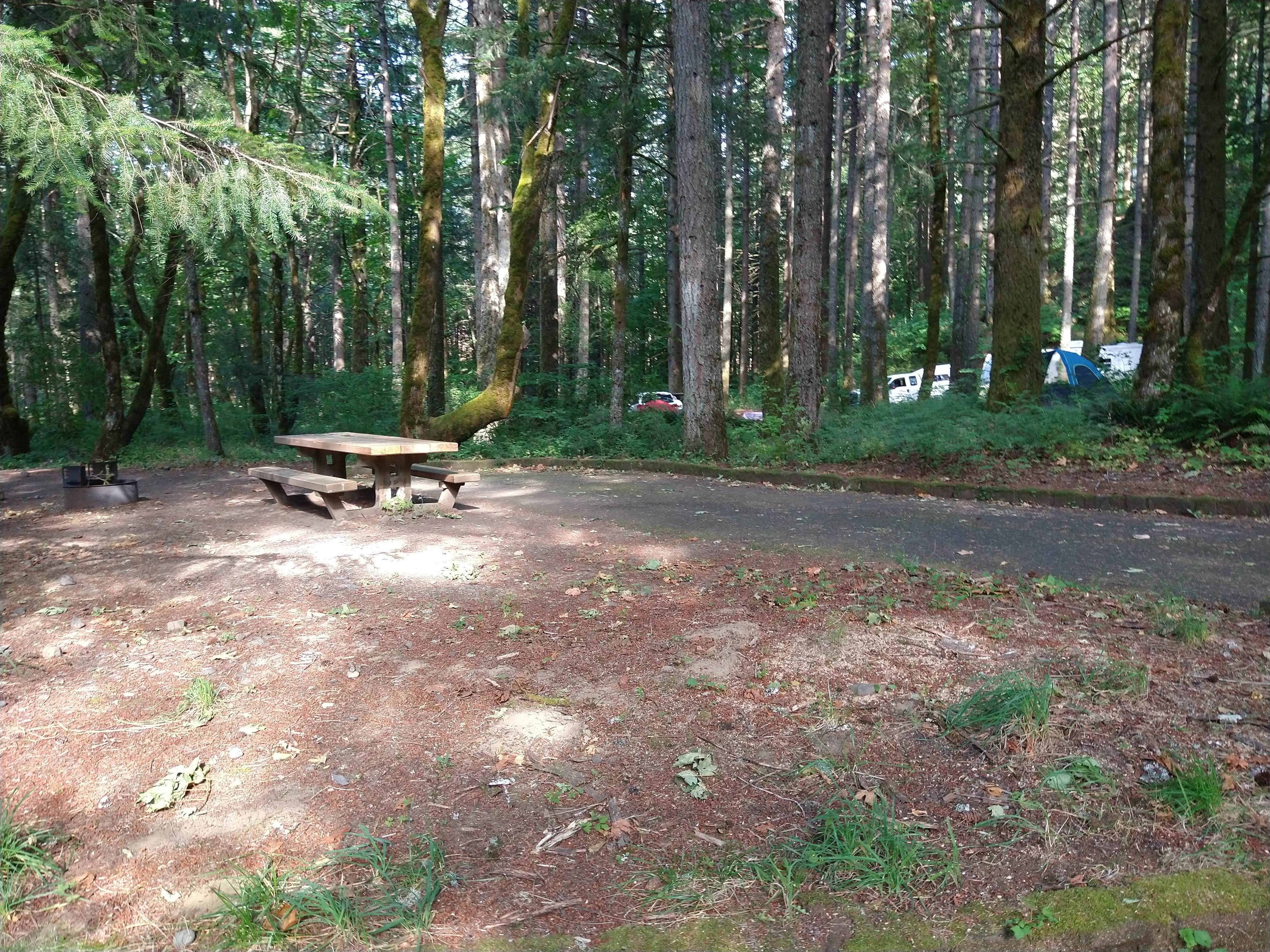 Camper submitted image from Wyeth Campground at the Gorge - 4