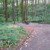 Review photo of Wyeth Campground at the Gorge by Elizabeth  N., July 20, 2020