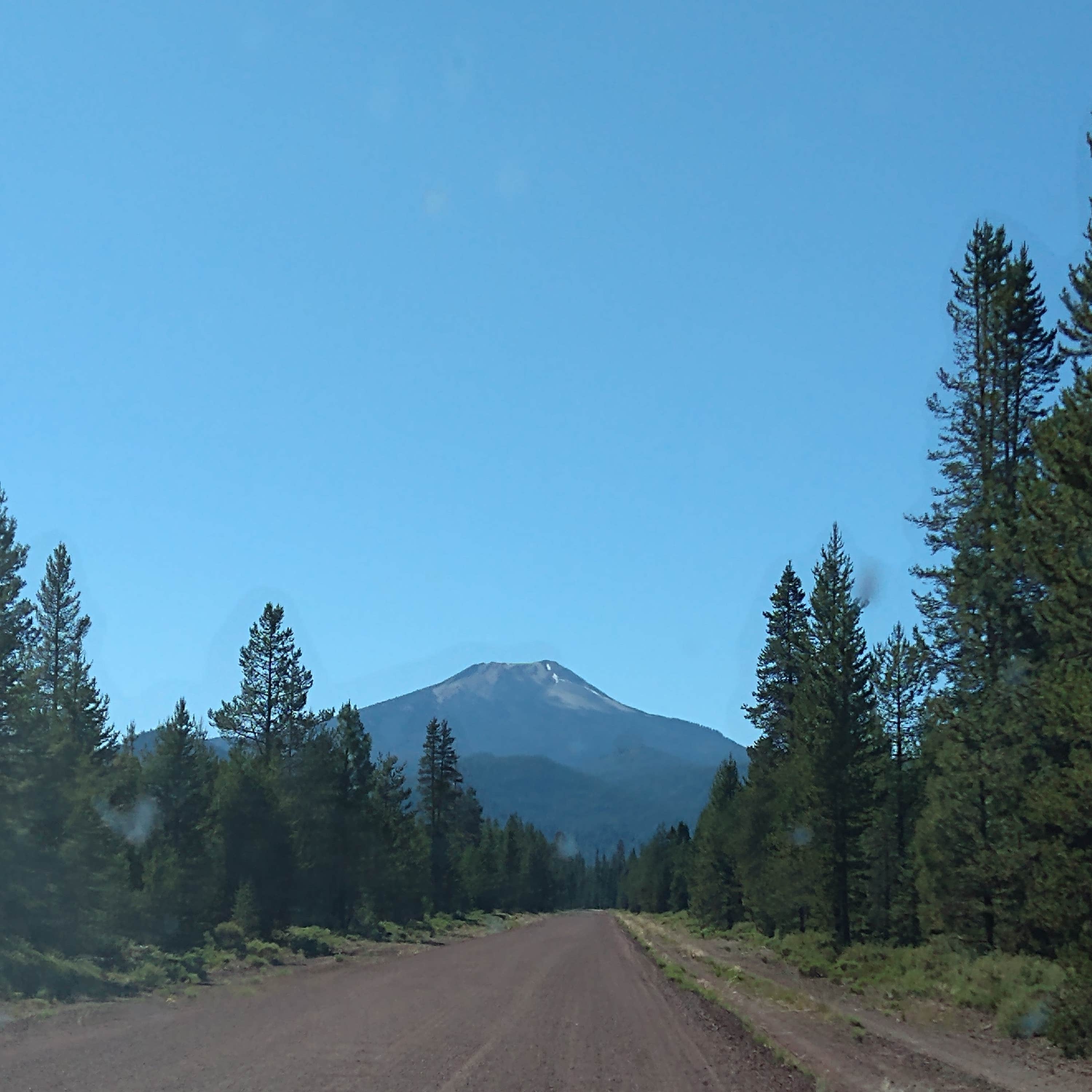 Scott Creek Camping