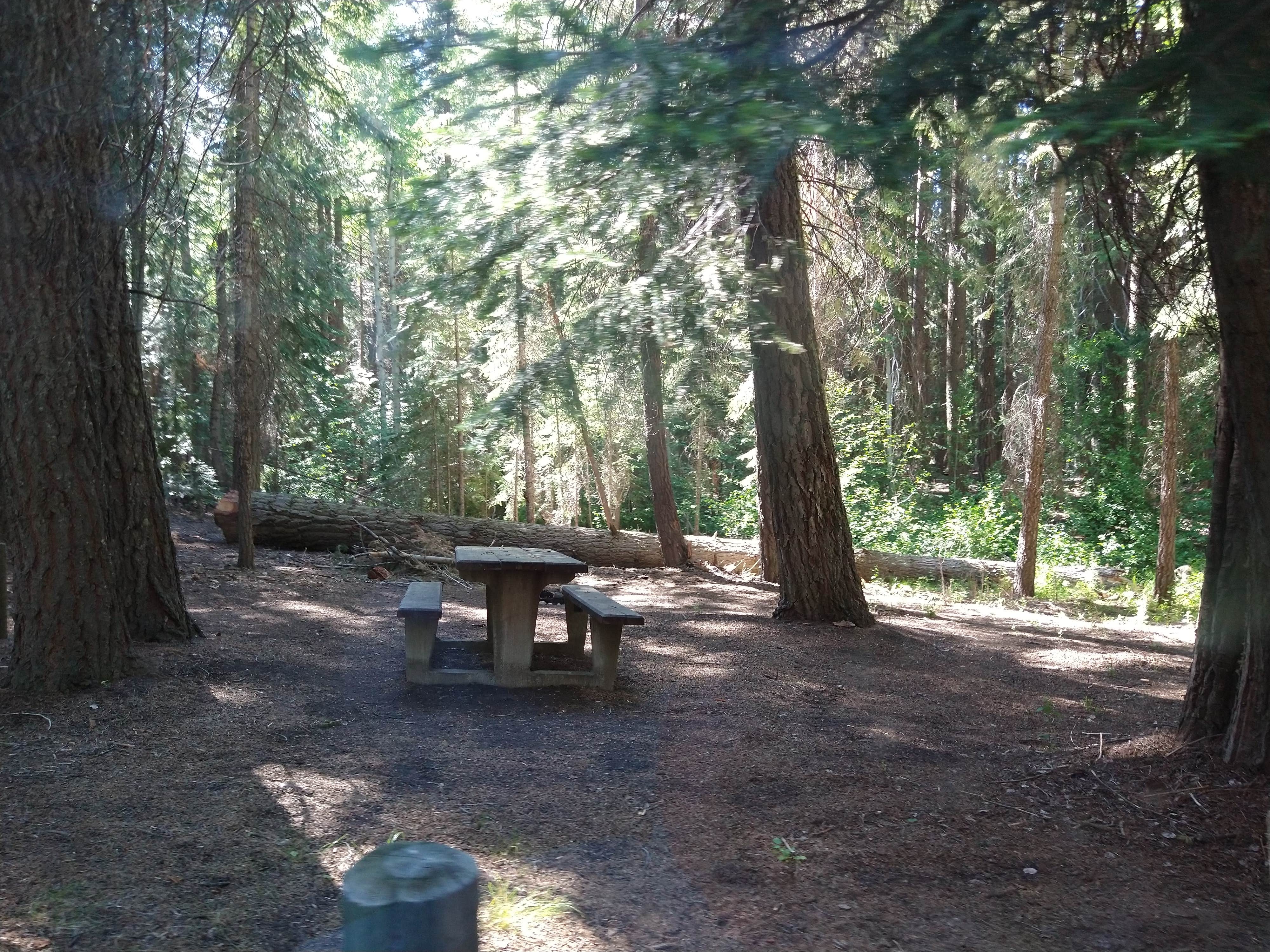Camping near Jackson Creek: Scott Creek, Crater Lake National Park, Oregon