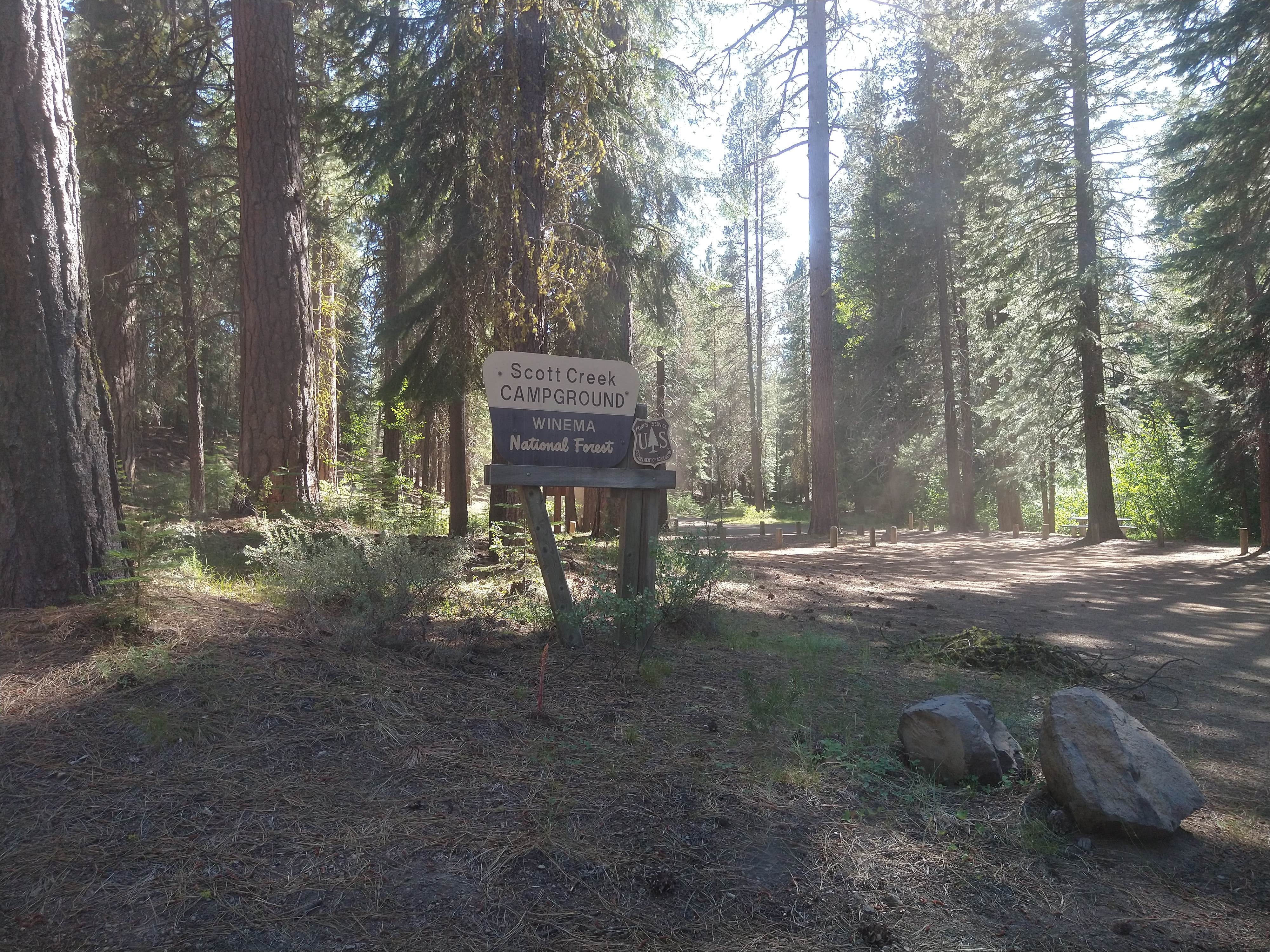 Camper-submitted photo at Scott Creek near Klamath Falls, OR