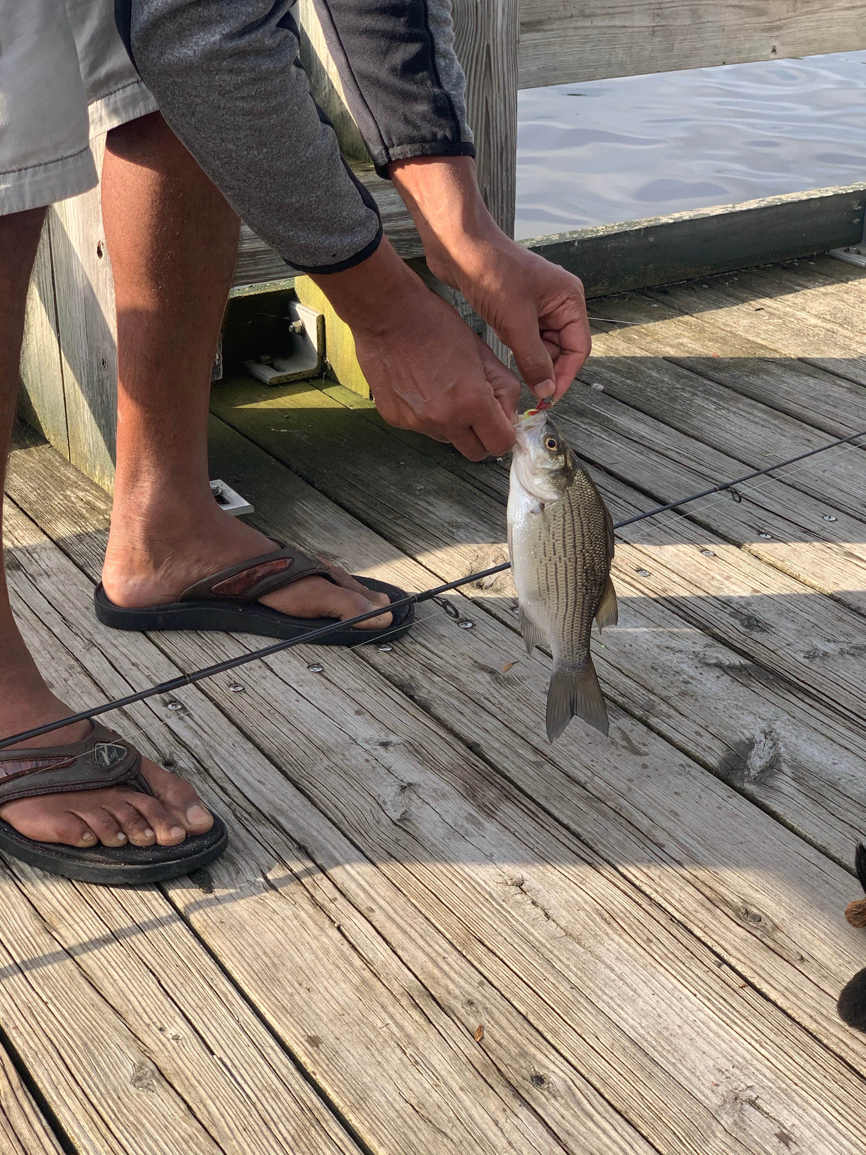 Camper-submitted photo at Buckhorn State Park Campground near Wisconsin Rapids, WI