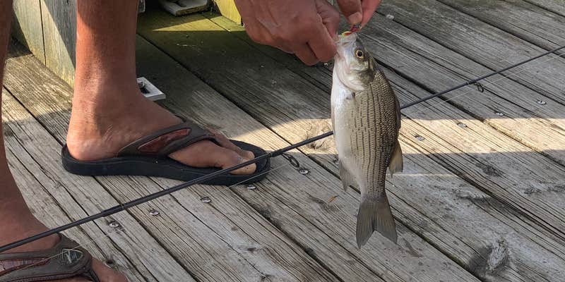 Camper submitted image from Buckhorn State Park Campground