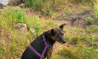 Kalene H.'s photo of camping with pets at Buckhorn State Park Campground near Nekoosa, WI