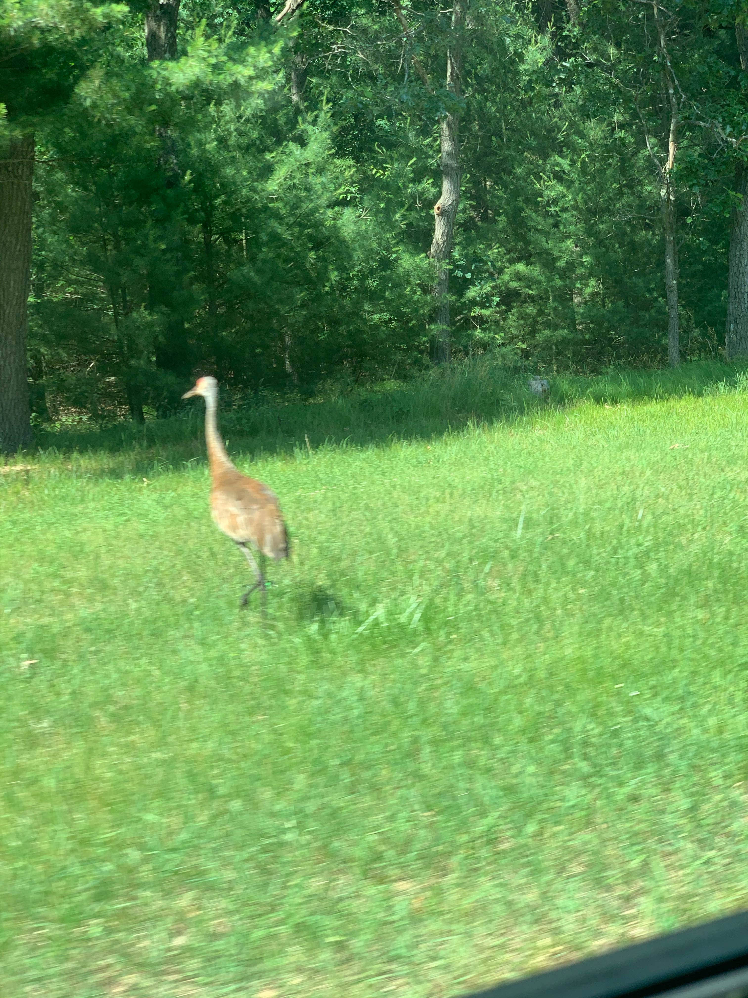 Buckhorn State Park Campground