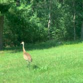 Review photo of Buckhorn State Park Campground by Kalene H., July 20, 2020