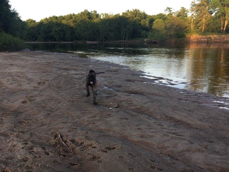 Camper submitted image from Lost Falls Campground - 3