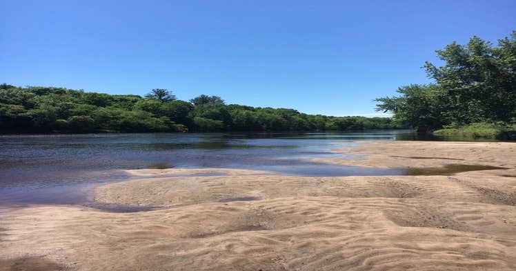 Lost Falls Campground | Black River Falls, WI