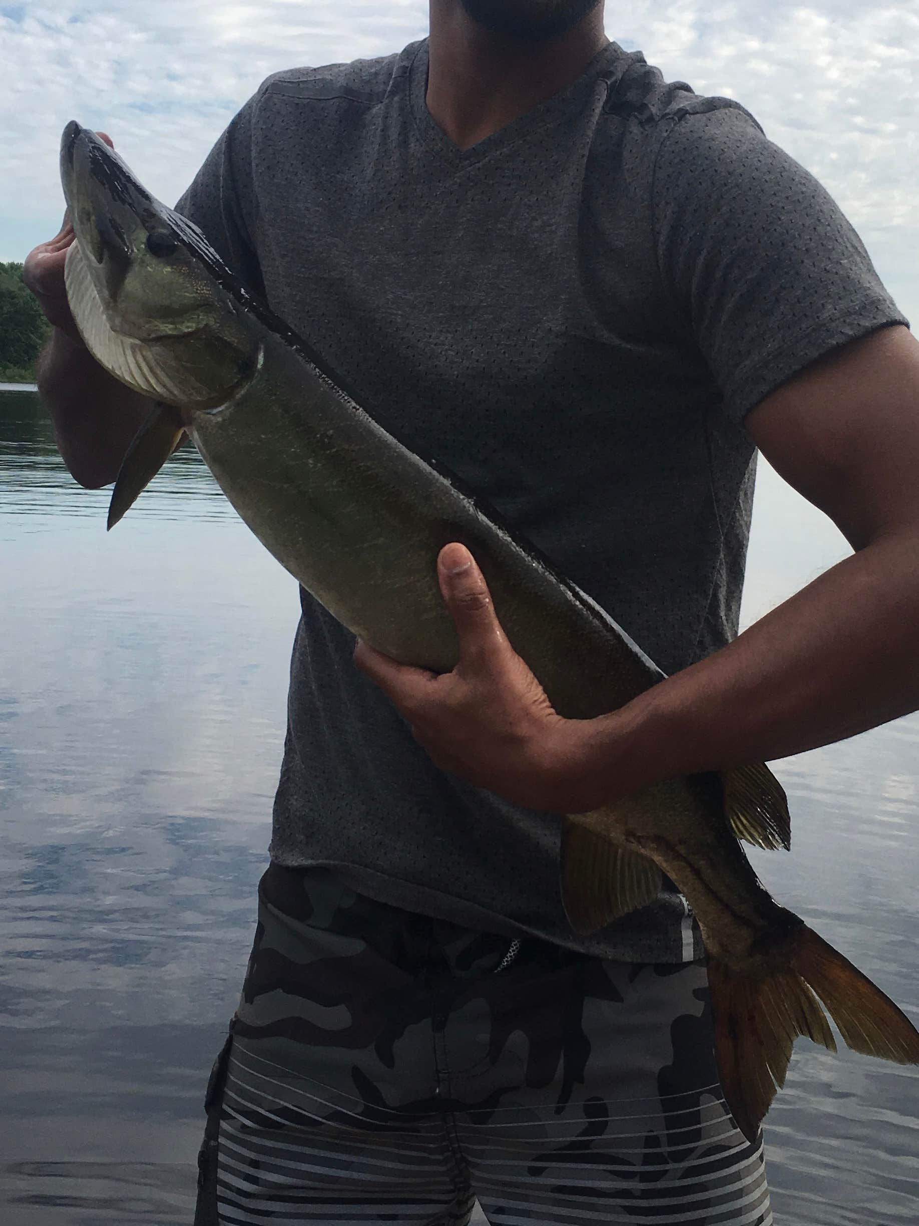 Camper-submitted photo at Connors Lake Campground — Flambeau River State Forest near Phillips, WI