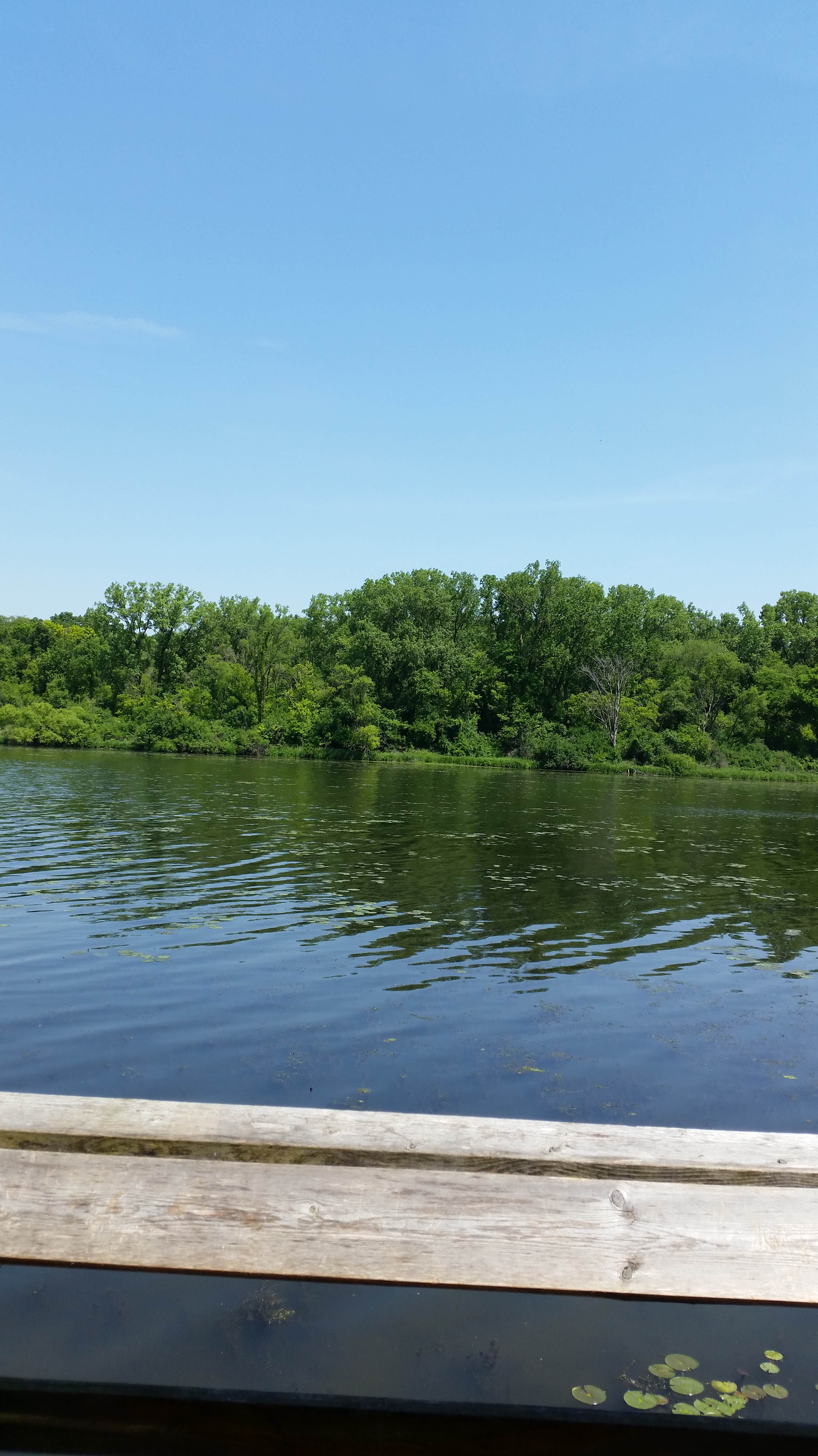 Camper submitted image from Rock Cut State Park - Staghorn Campground - 3