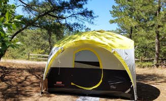 Sherri C.'s photo at Cape Henlopen State Park Campground near Wildwood Crest, NJ
