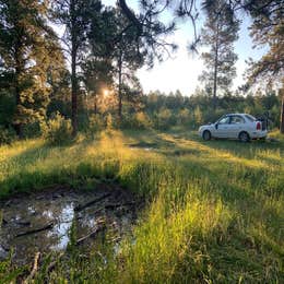 Public Campgrounds: Black Hills National Forest Cook Lake Campground