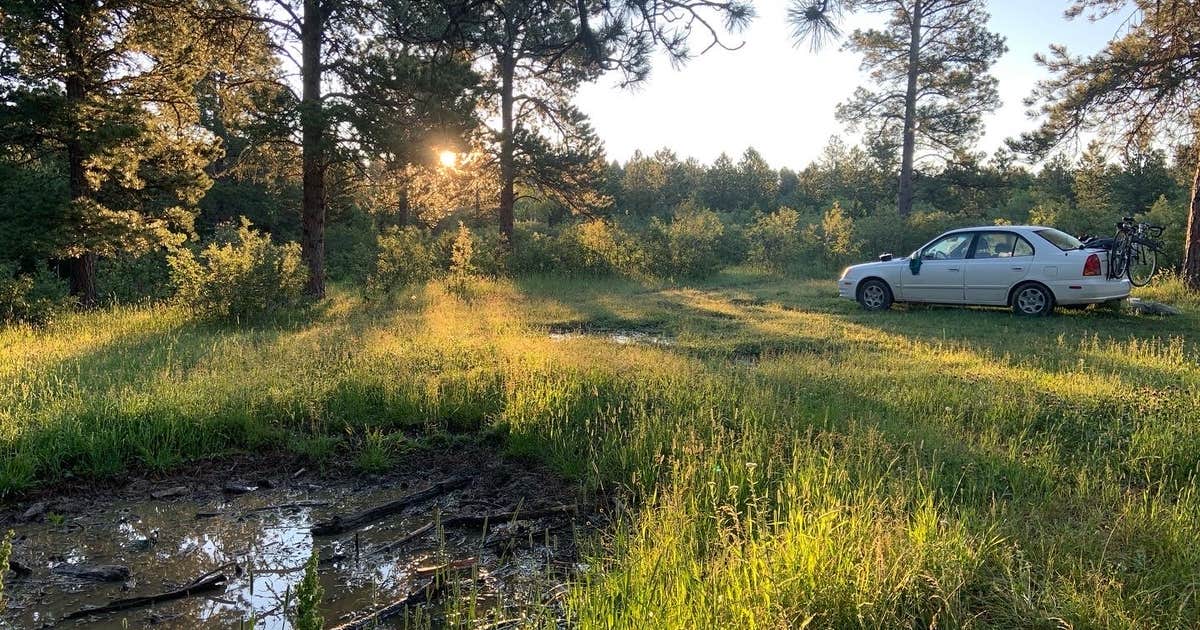Black Hills National Forest Cook Lake Campground