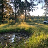 Review photo of Black Hills National Forest Cook Lake Campground by Lauren T., July 20, 2020