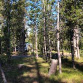 Review photo of Mazama Village Campground — Crater Lake National Park by Thomas B., July 20, 2020