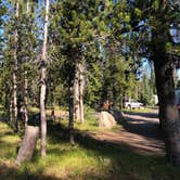 Review photo of Mazama Village Campground — Crater Lake National Park by Thomas B., July 20, 2020