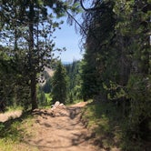 Review photo of Mazama Village Campground — Crater Lake National Park by Thomas B., July 20, 2020