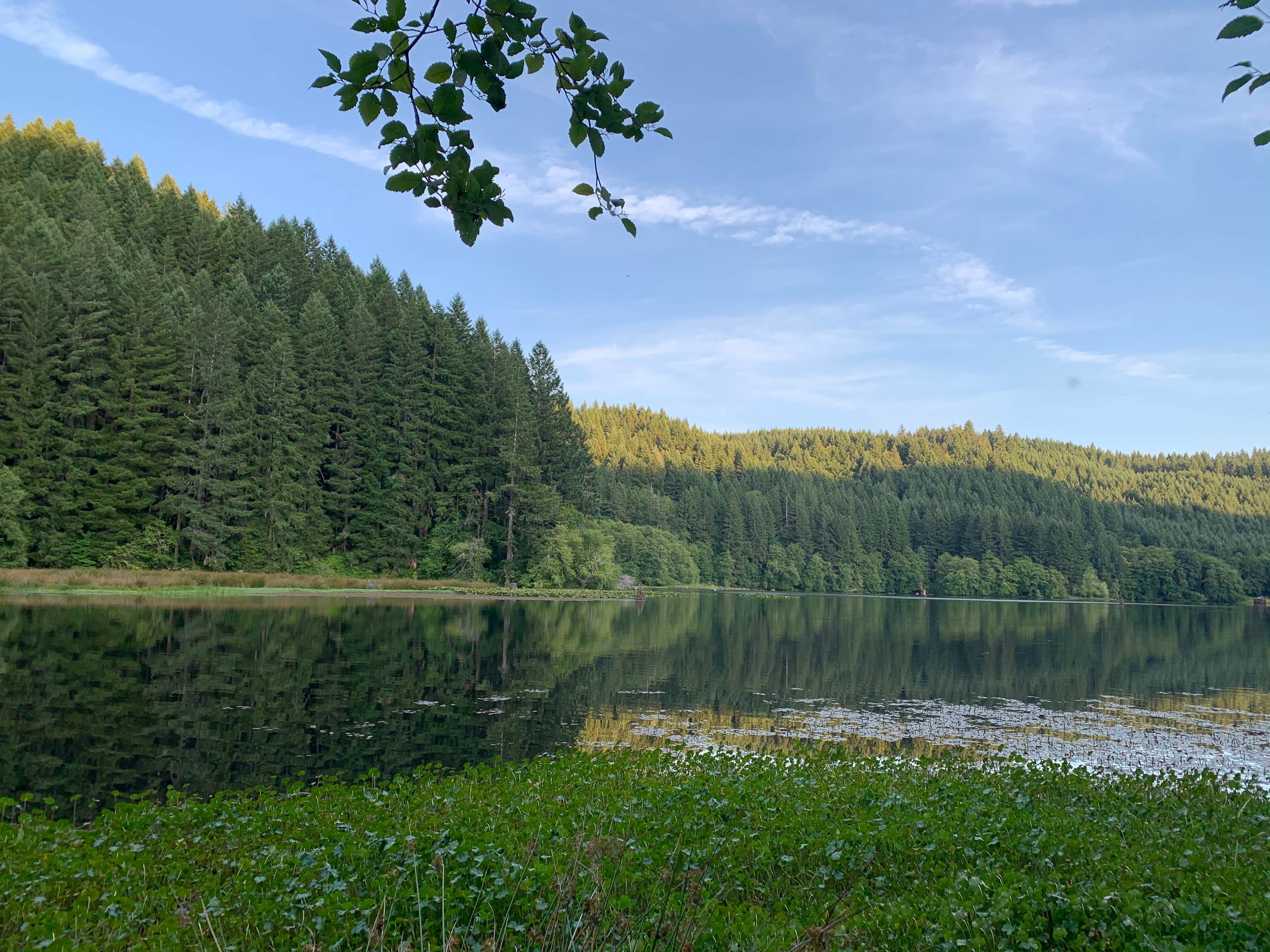 Camper-submitted photo at Hult Pond near Florence, OR