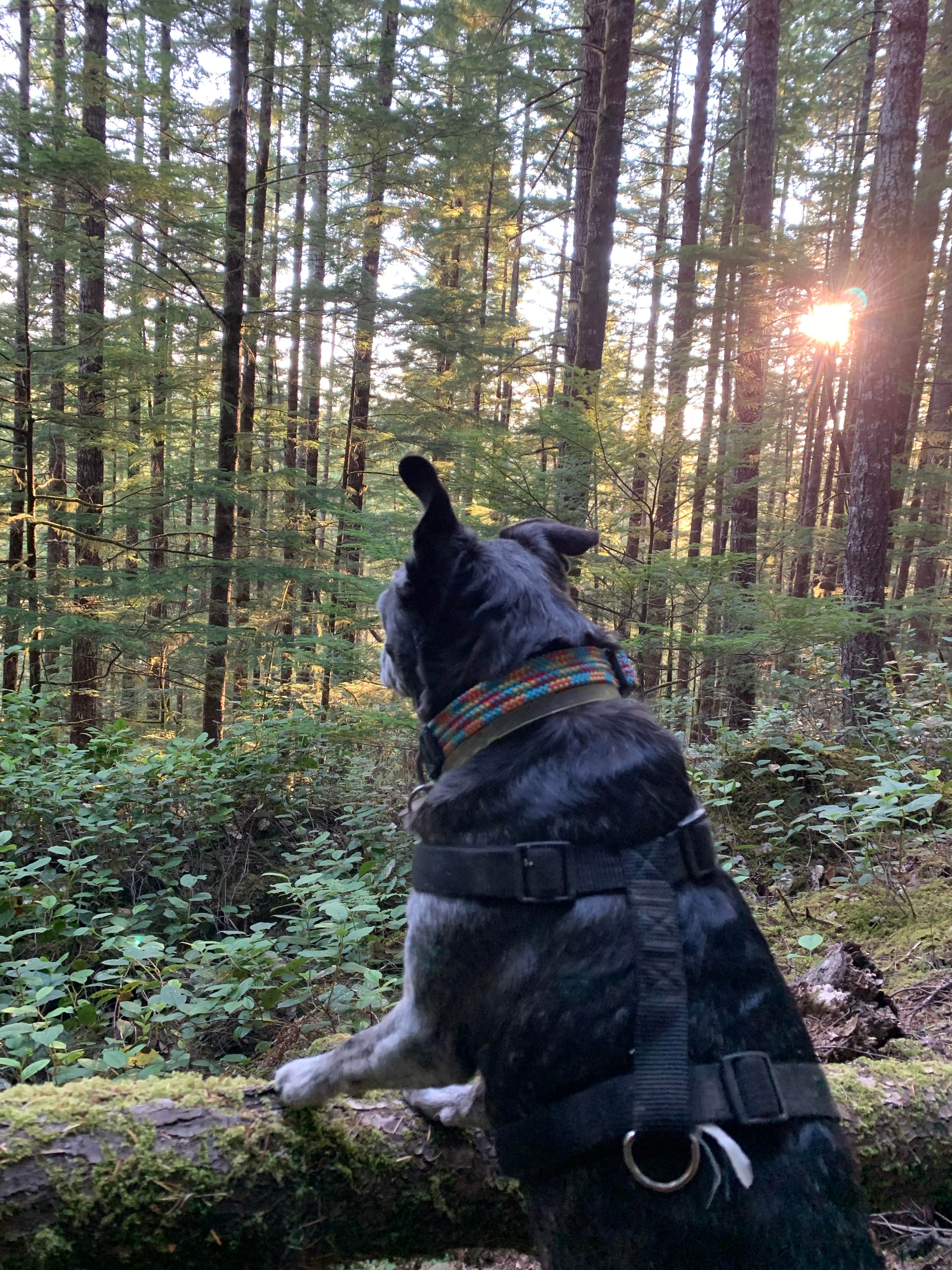 Camper-submitted photo at Hult Pond near Florence, OR