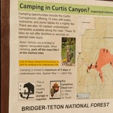 Review photo of Curtis Canyon Dispersed Camping by Megan V., July 20, 2020