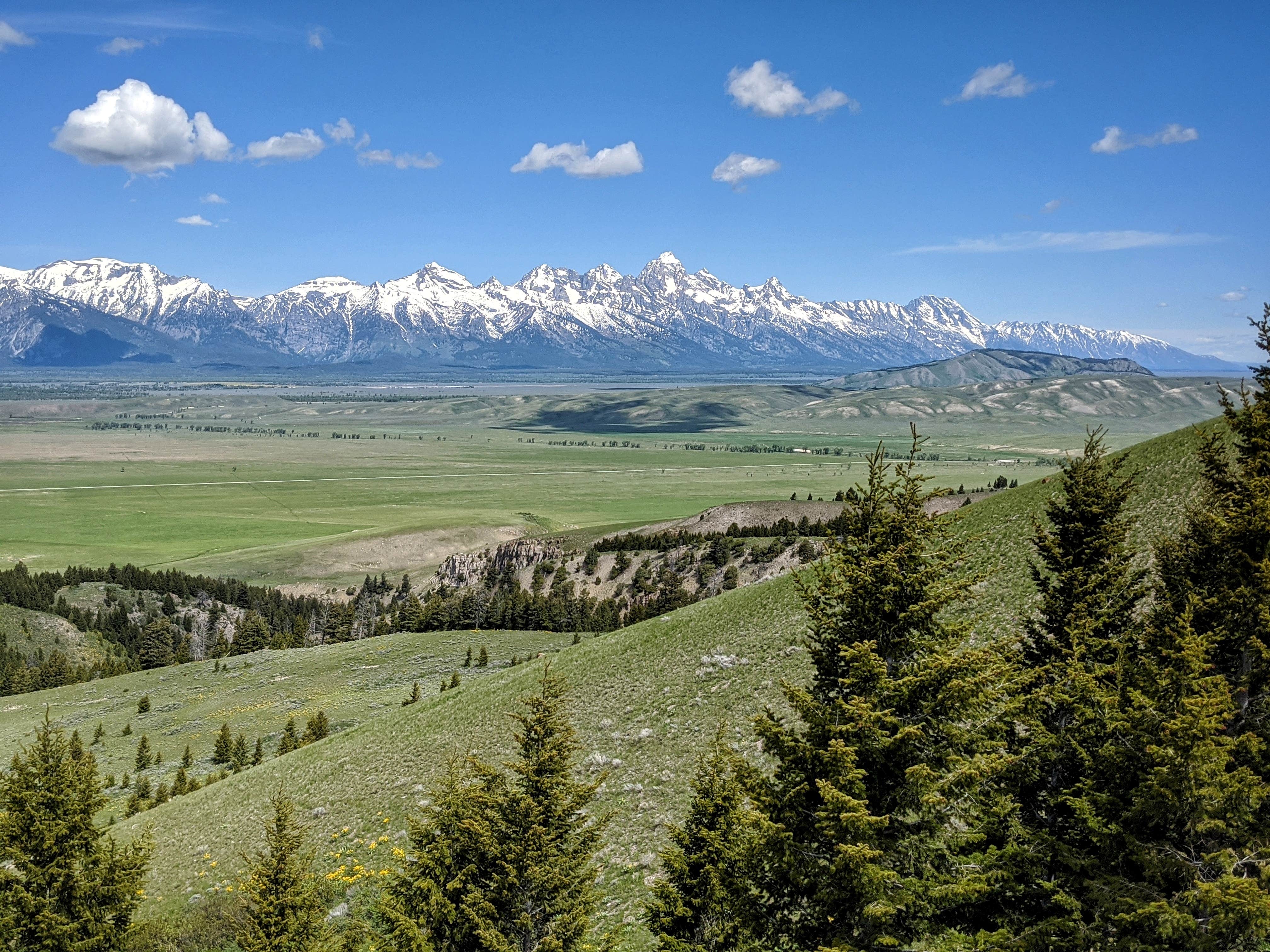 Camper-submitted photo at Curtis Canyon Dispersed Camping near Grand Teton National Park