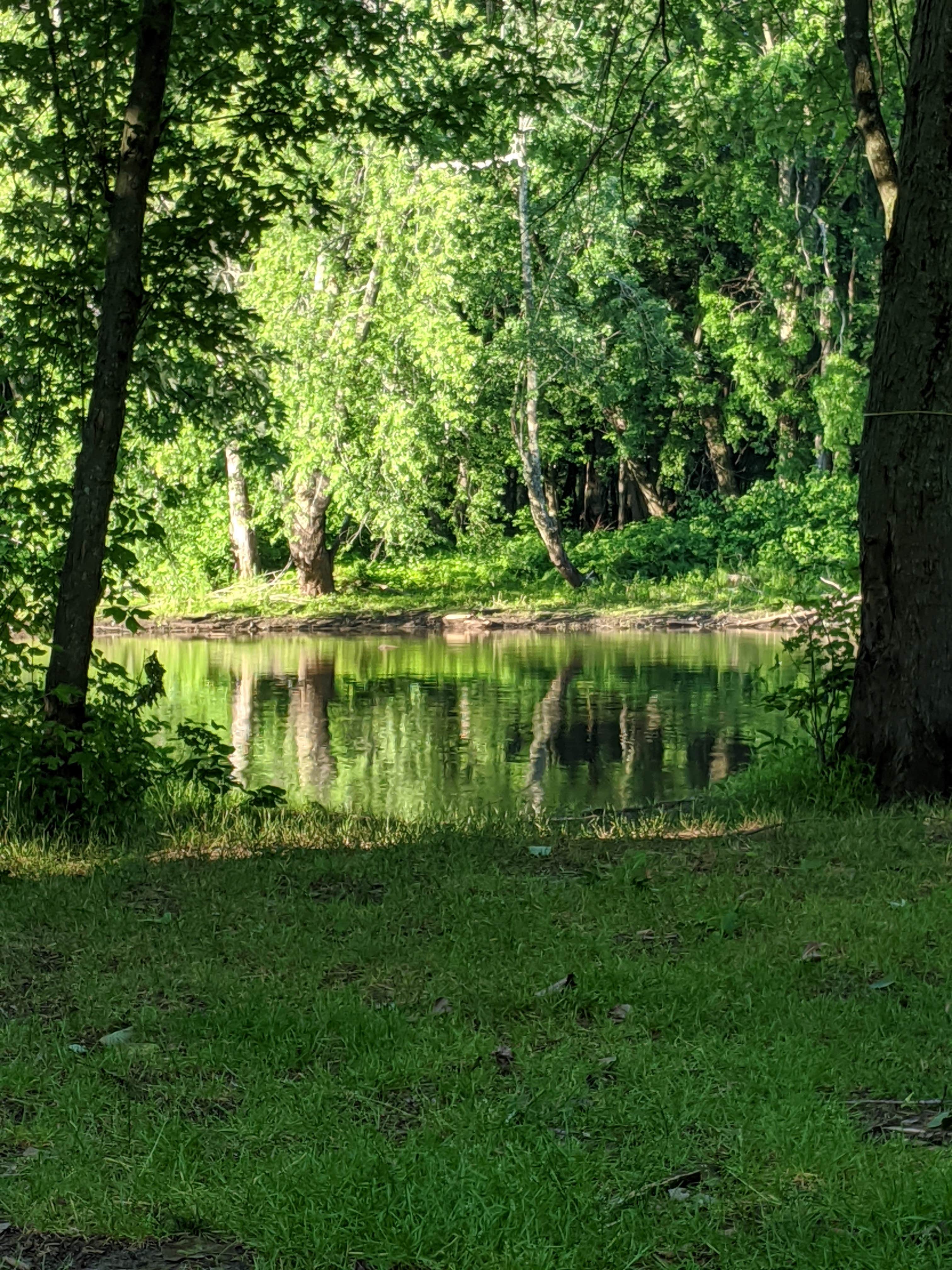 Camper submitted image from Ausable Point Campground - 2