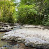 Review photo of Mash Fork Campground — Camp Creek State Park by Zondra W., July 20, 2020