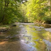 Review photo of Mash Fork Campground — Camp Creek State Park by Zondra W., July 20, 2020