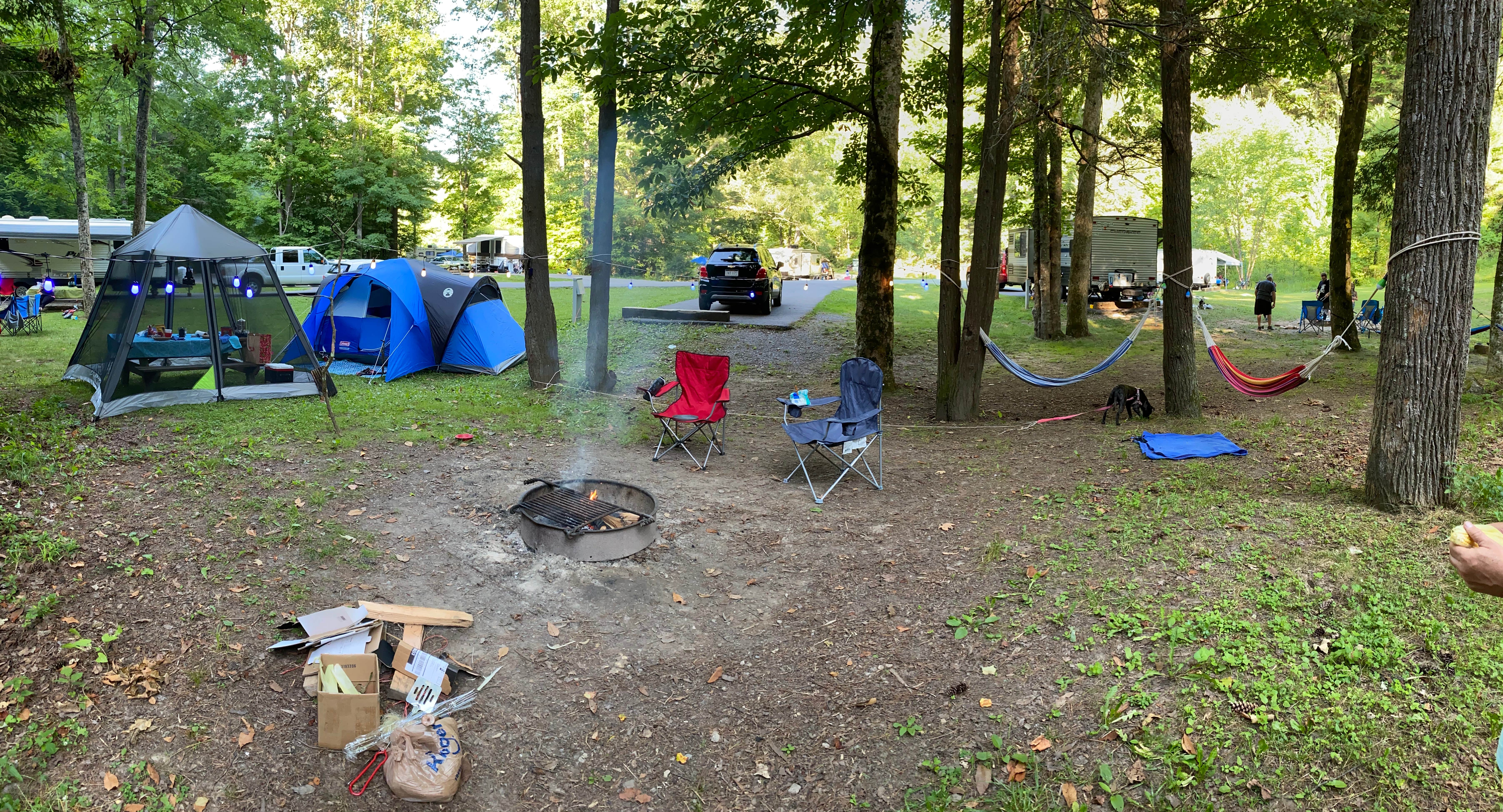 Zondra W.'s photo at Mash Fork Campground — Camp Creek State Park near Bluefield, WV