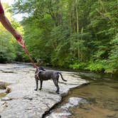 Review photo of Mash Fork Campground — Camp Creek State Park by Zondra W., July 20, 2020